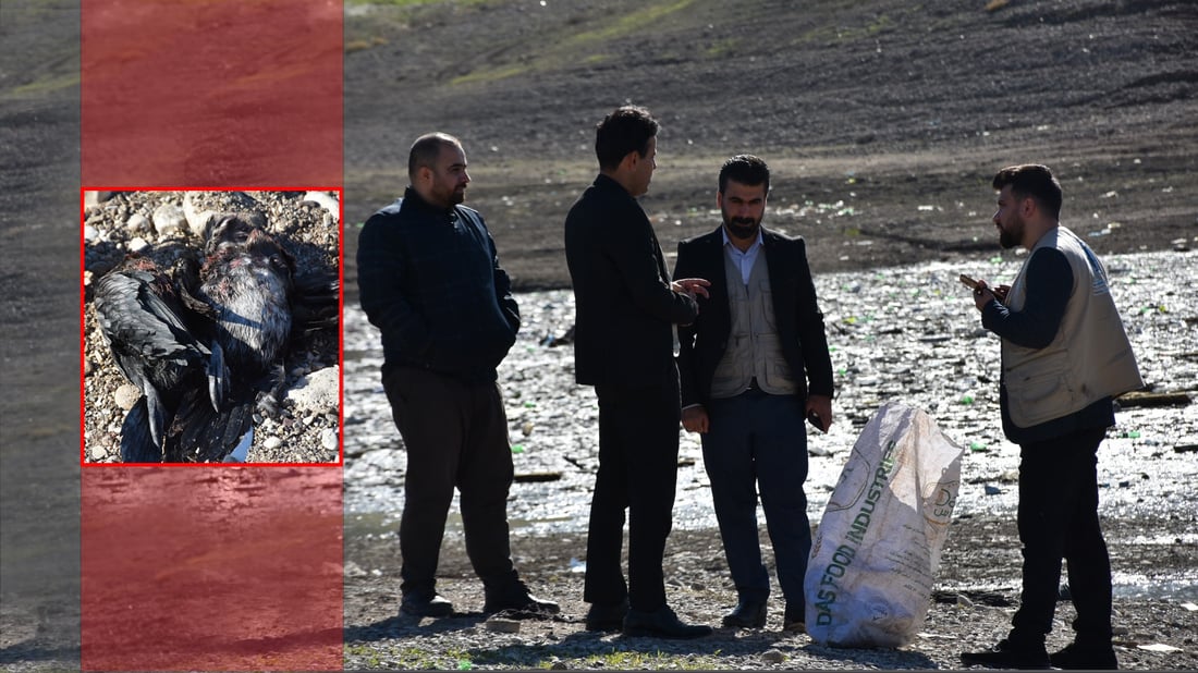 له‌ هه‌ڵه‌بجه‌ به‌دواى ئه‌و سه‌رپێچیكارانه‌ ده‌گه‌ڕێن کە دوو مراویی كێویان كوشتووه‌