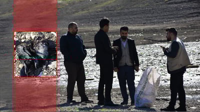 له‌ هه‌ڵه‌بجه‌ به‌دواى ئه‌و سه‌رپێچیكارانه‌ ده‌گه‌ڕێن کە دوو مراویی كێویان كوشتووه‌