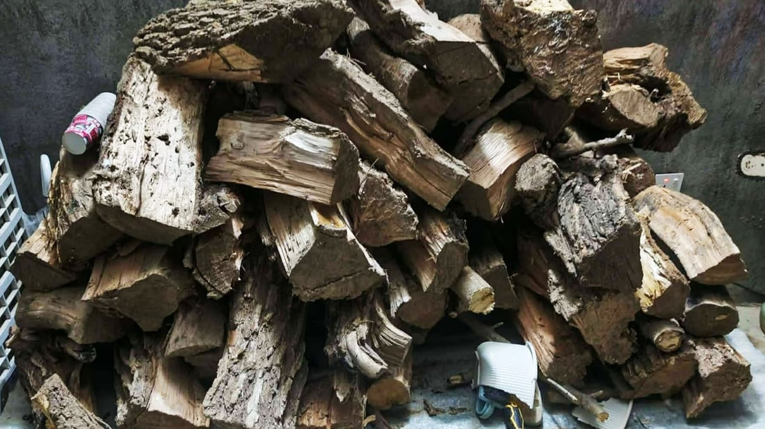 لە سلێمانی بە تۆمەتی بڕینەوەی داری سروشتی پێنج هاوڵاتی دەستگیر کران