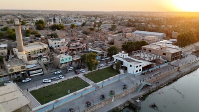 هيت من الجو.. الطريق نحو 5 ملايين شجرة بدأ بـ 6 آلاف (فيديو)