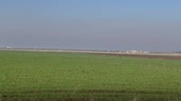 گه‌نجێك له‌ گوندى ئیسماواى به‌رده‌ڕه‌ش به‌ خنكاوى ...
