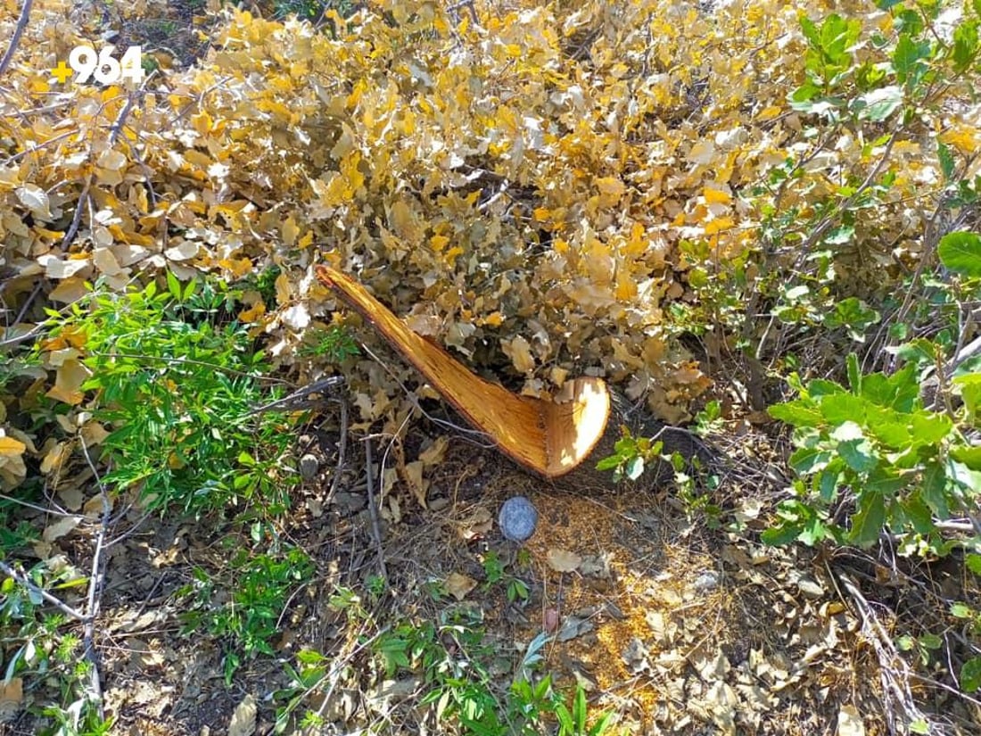 پۆلیسى شه‌قڵاوه‌ به‌دواى دوو داربڕدا ده‌گه‌ڕێت