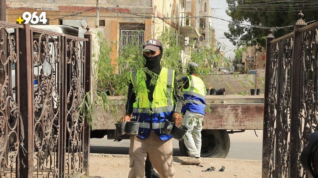 الناصرية تزرع 30 ألف شتلة ألبيزيا وجهنمي.. من حديقة الدب إلى شارع الإمام علي