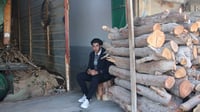 سفرات شتاء البصرة تسعد الحطابين أيضاً.. لم يعد عملنا مق