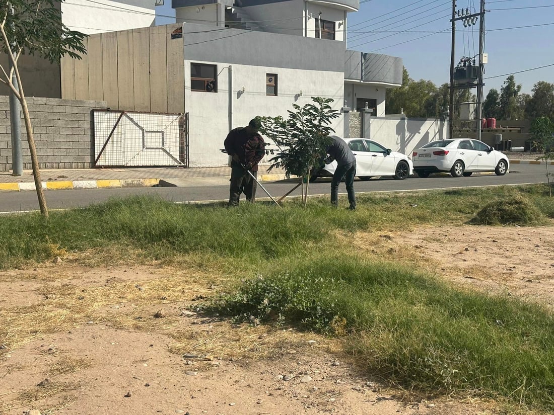 كفری خۆی سه‌وزتر ده‌كات