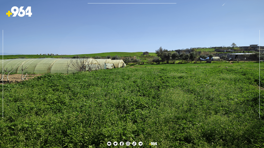 گەنجێکی چەمچەماڵ كارى جیاواز له‌ كشتوكاڵ ده‌كات