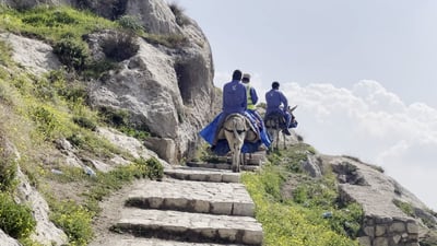 فيديو: 4 حمير لتنظيف عقرة.. حيث السلالم المحفورة في الجبل طريقك الوحيد إلى المنزل