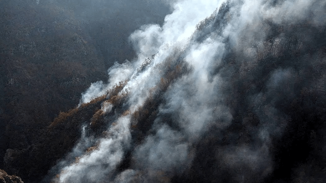 سێ هەفتەیە دارستانەکانی باکووری ئێران لە ئاگردا دەسووتێن