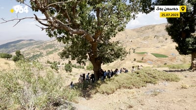 داربەڕووی قەوقاز تەلەبەندکرا