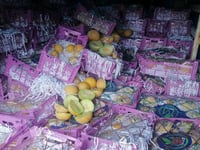 Rotten produce seized at Shushme border crossing to be returned to Iran
