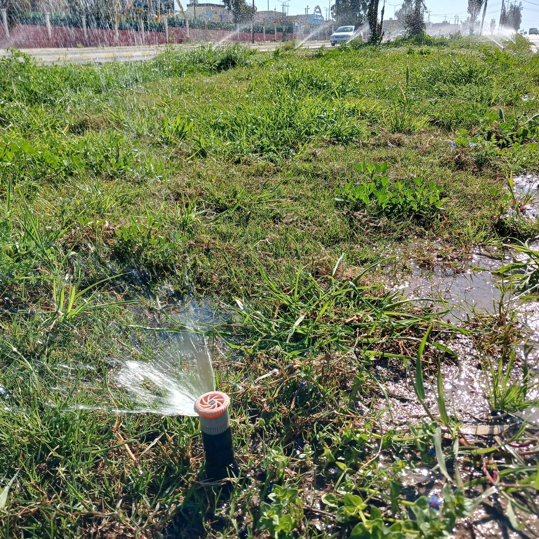 پردێ ده‌ستى به‌ ئاودانى سه‌وزاییه‌كانى كرد