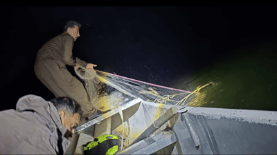 لە سنووری سلێمانی ئەمڕۆ رۆژی گرتنی راوچی ماسی بوو 