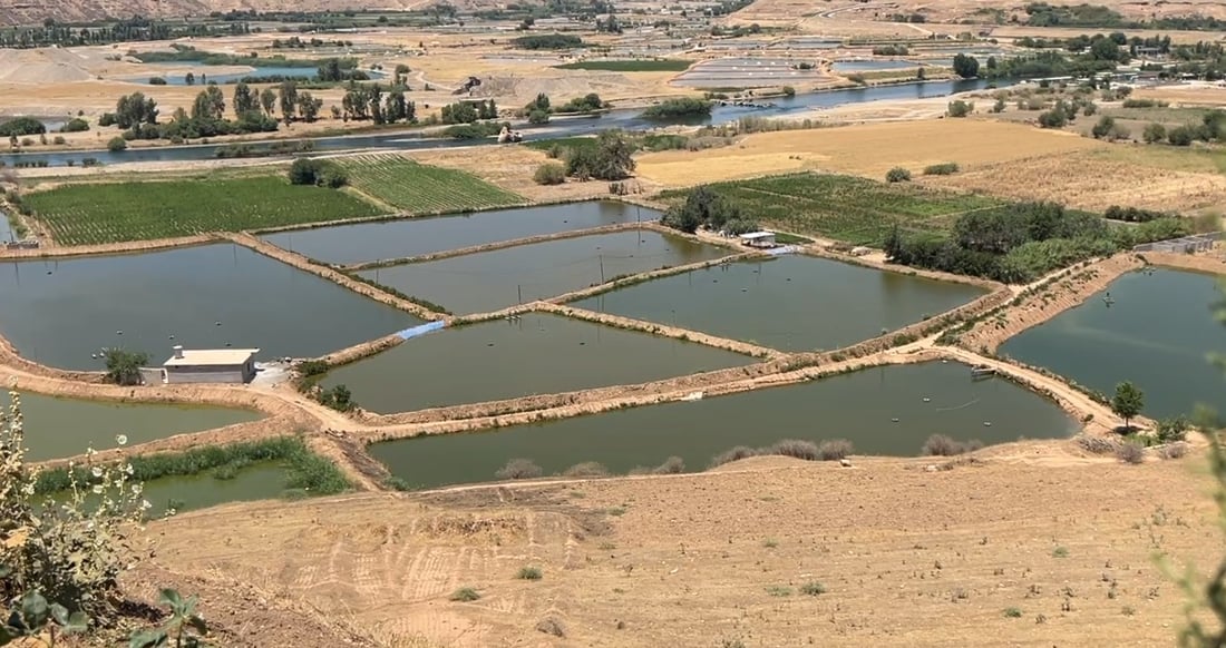 مەزەندە وایە زیانەکانی لافاو لە تەقتەق ملیارێک دینار بێت