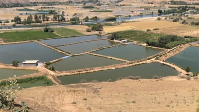 مەزەندە وایە زیانەکانی لافاو لە تەقتەق ملیارێک دینار بێت