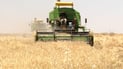 Iraq procures 3.2 million tons of wheat as season winds down in south
