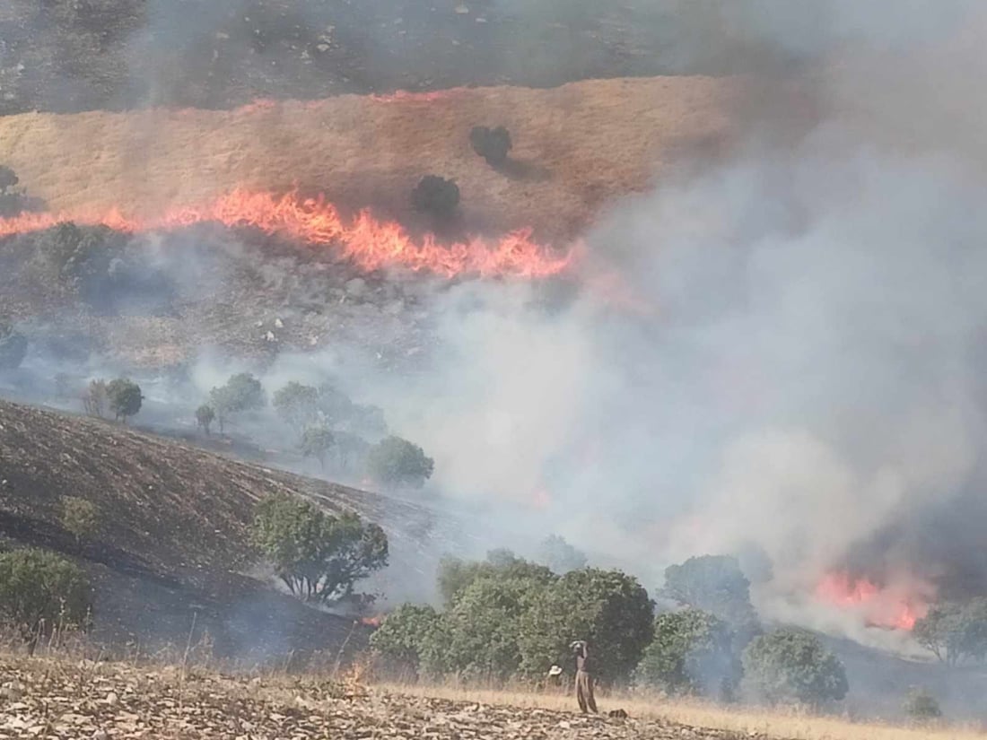 ئاگره‌كه‌ی دارستانی به‌رزنجه‌ كۆنتڕۆڵ كرا
