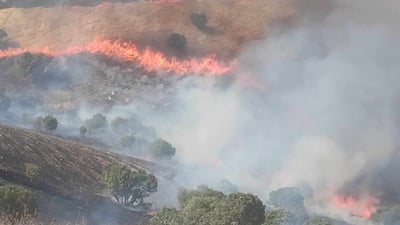 ئاگره‌كه‌ی دارستانی به‌رزنجه‌ كۆنتڕۆڵ كرا