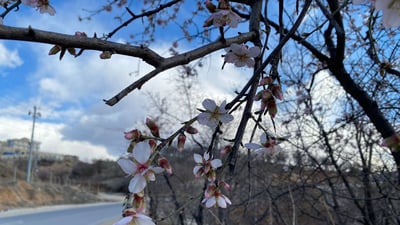 کەشی دوو رۆژی یەکەمی بەهار فێنک و نمەباران دەبێت