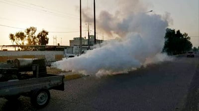  قه‌زاى به‌رده‌ڕه‌ش پڕى پێشكه‌ و مێشووله‌ بووه‌