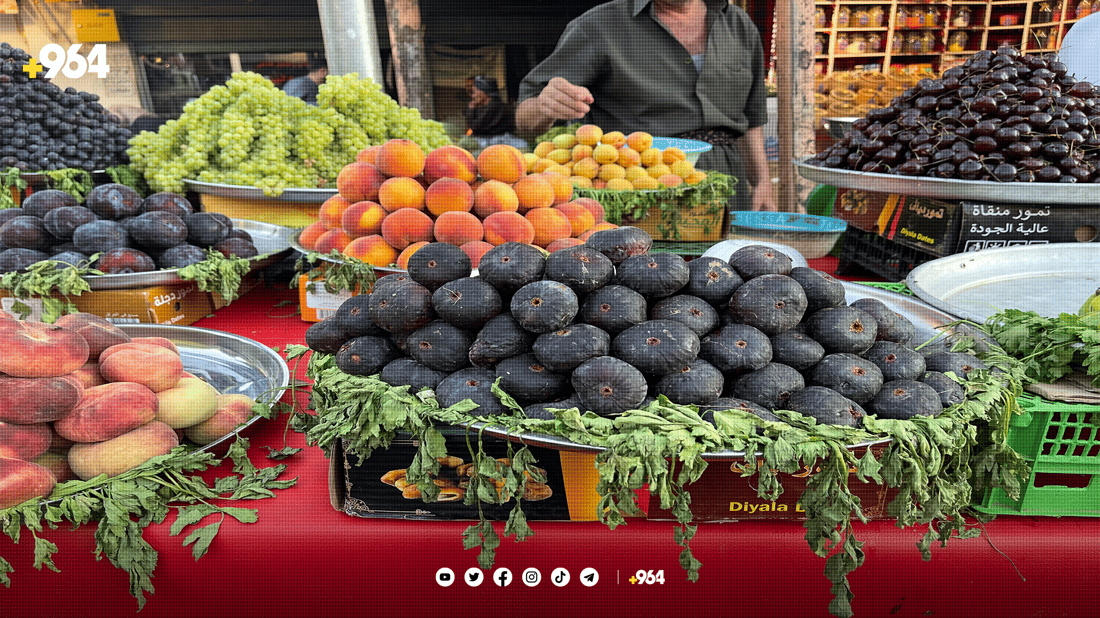 هەنجیری نەجەف و کەربەلایە بە هی کەلار دەیفرۆشن