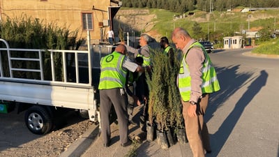 گەشتیاران لە کاتی گەڕانەوەیان نەمامیان پێشکەش دەکرێت