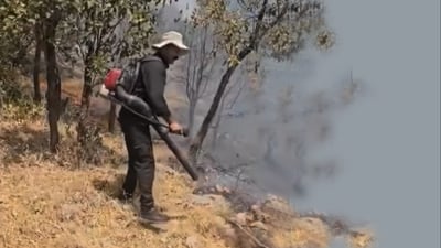 به‌رگرى شارستانى سۆران ده‌ڵێت ده‌ستێك له‌ پشت دووباره‌ هه‌ڵگیرسانه‌وه‌ى ئاگره‌كه‌ى چیاى برادۆسته‌