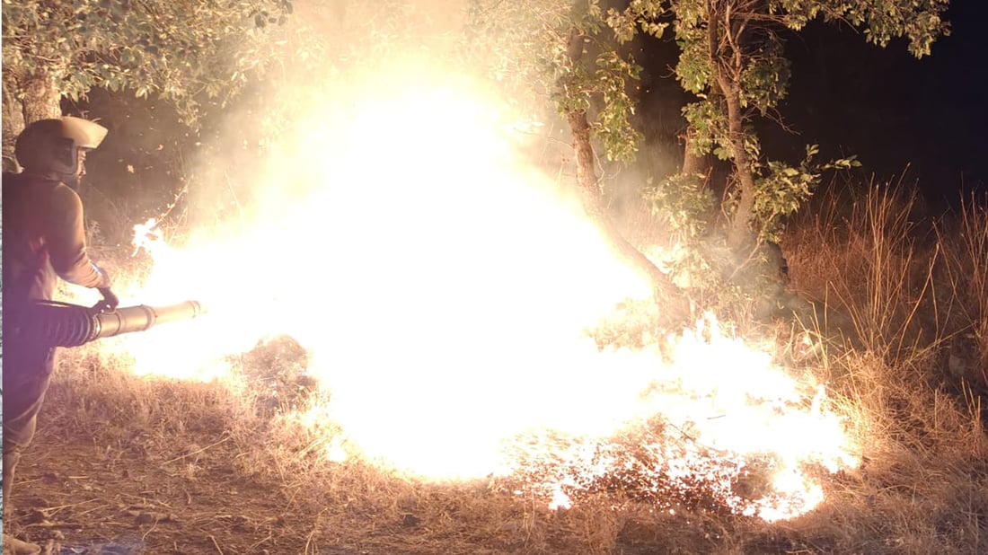 ئاگر زیاتر لە هەزار دۆنمی دوو گوندی پێنجوێنی سووتاند