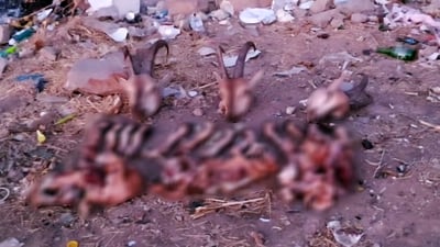 له‌ گه‌رمیان به‌ دواداچوون بۆ گرته‌ ڤیدیۆیه‌ك ده‌كرێت