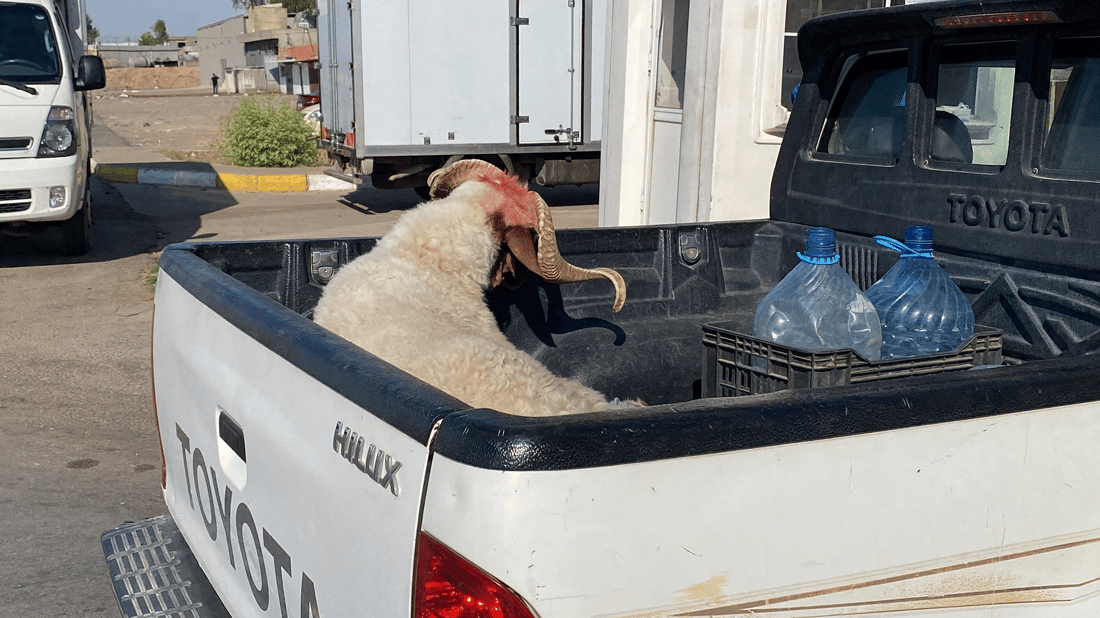 تای خوێنبه‌ربوون هه‌ر ماوه‌ و پێویستە خۆتانی لێ بپارێزن