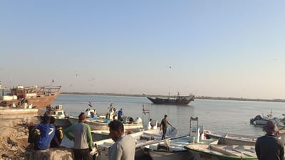 صور من فجر النقعة.. قائمة بأسعار وأصناف الأسماك في مزاد الفاو