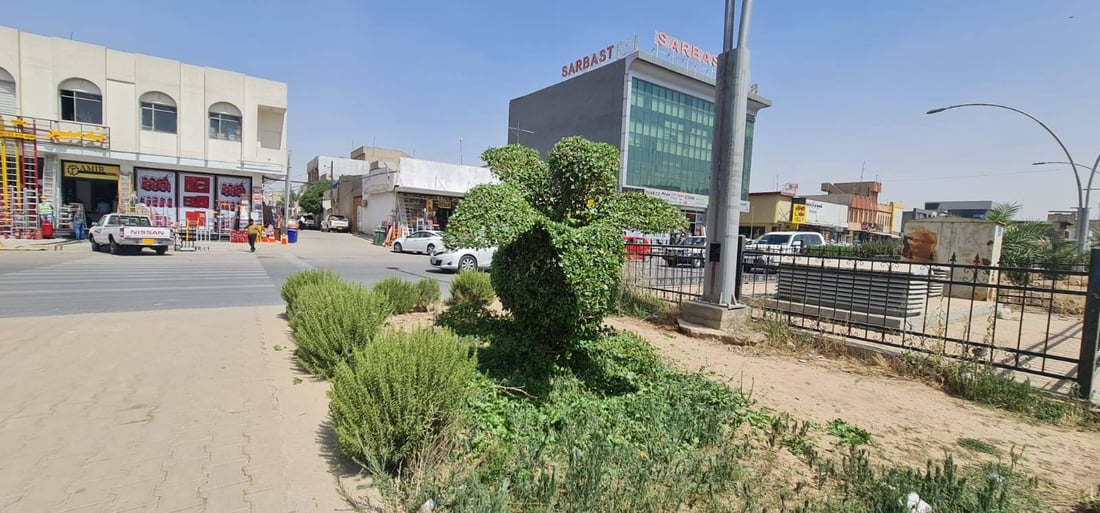 ئەو دار و درەختانەی شێوەی ئاژەڵ و باڵندە دەدەن رێکدەخرێنەوە