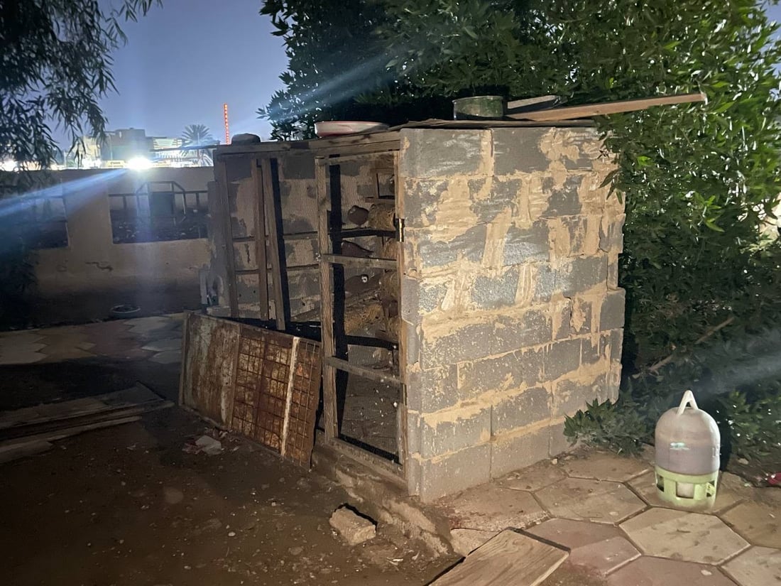 صور: مطيرجية ديالى يراقبون طيورهم بالكاميرات.. اللصوص يكثرون في الشتاء!