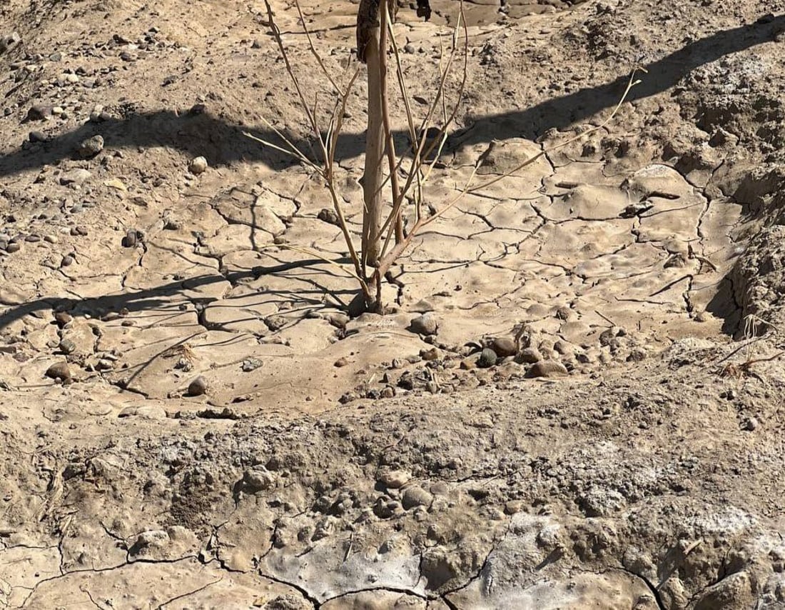 فزع في طويريج من اختفاء نهر الهندية.. الجفاف يغير عادات الفلاحين في أخصب أرض