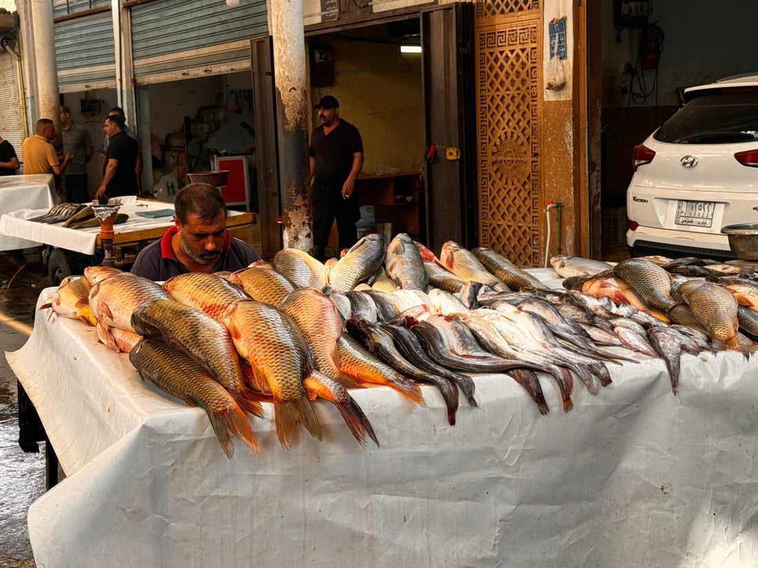 سوق السمك في الموصل ينتعش.. زوار أجانب يتوافدون يومياً (صور)