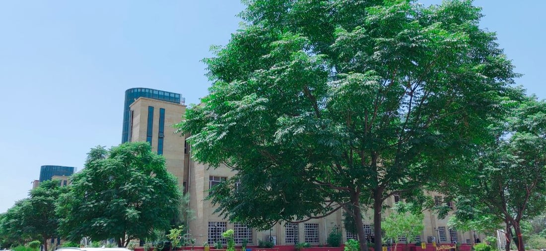 صور مدهشة من جامعة الموصل: “السبحبح” يكبر ويغطي الحدائق.. والسورية تتحمل تموز