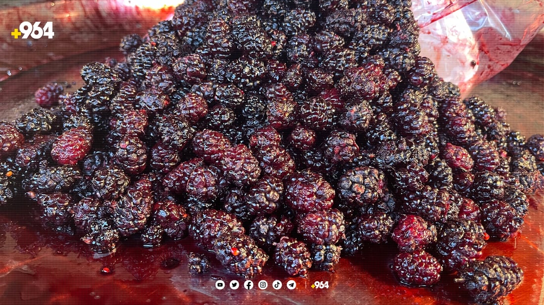 دوو هەفتەی دیكە شاتوو لە بازاڕدا نامێنێت