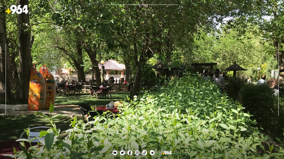 سەردانیکاران بۆ سلێمانی دووھێندە زیادیان کردووە