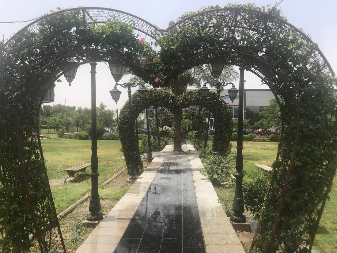 صور تهدئ الأعصاب: أشجار وثيل طبيعي لتزيين متنزهات البياع غربي بغداد