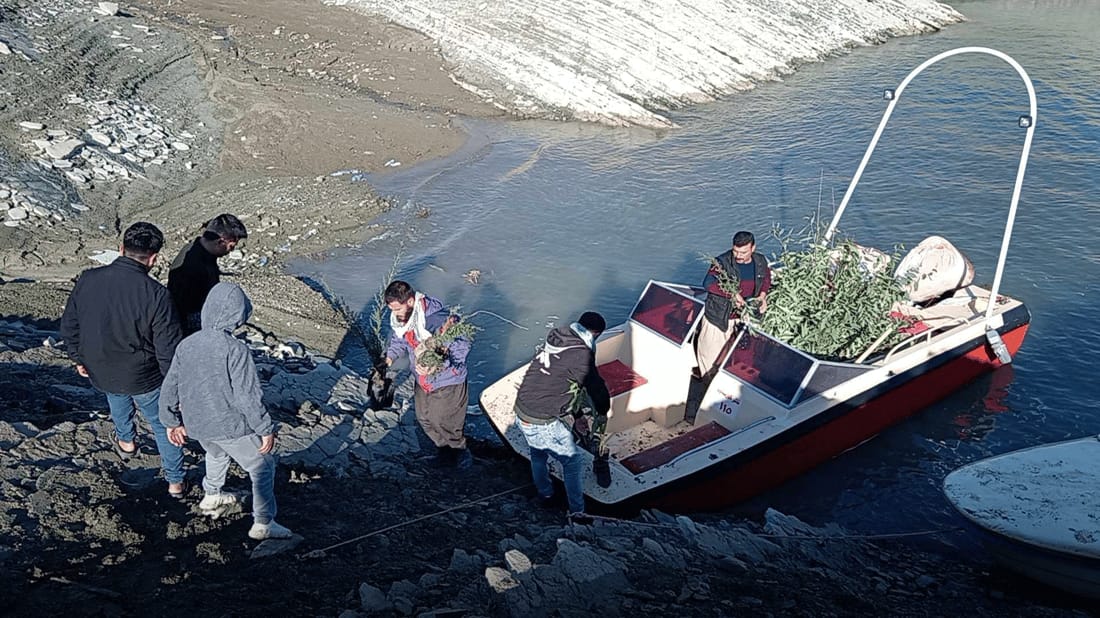 Local youth plant 200 trees on Dukan Lake’s Rabbits Island