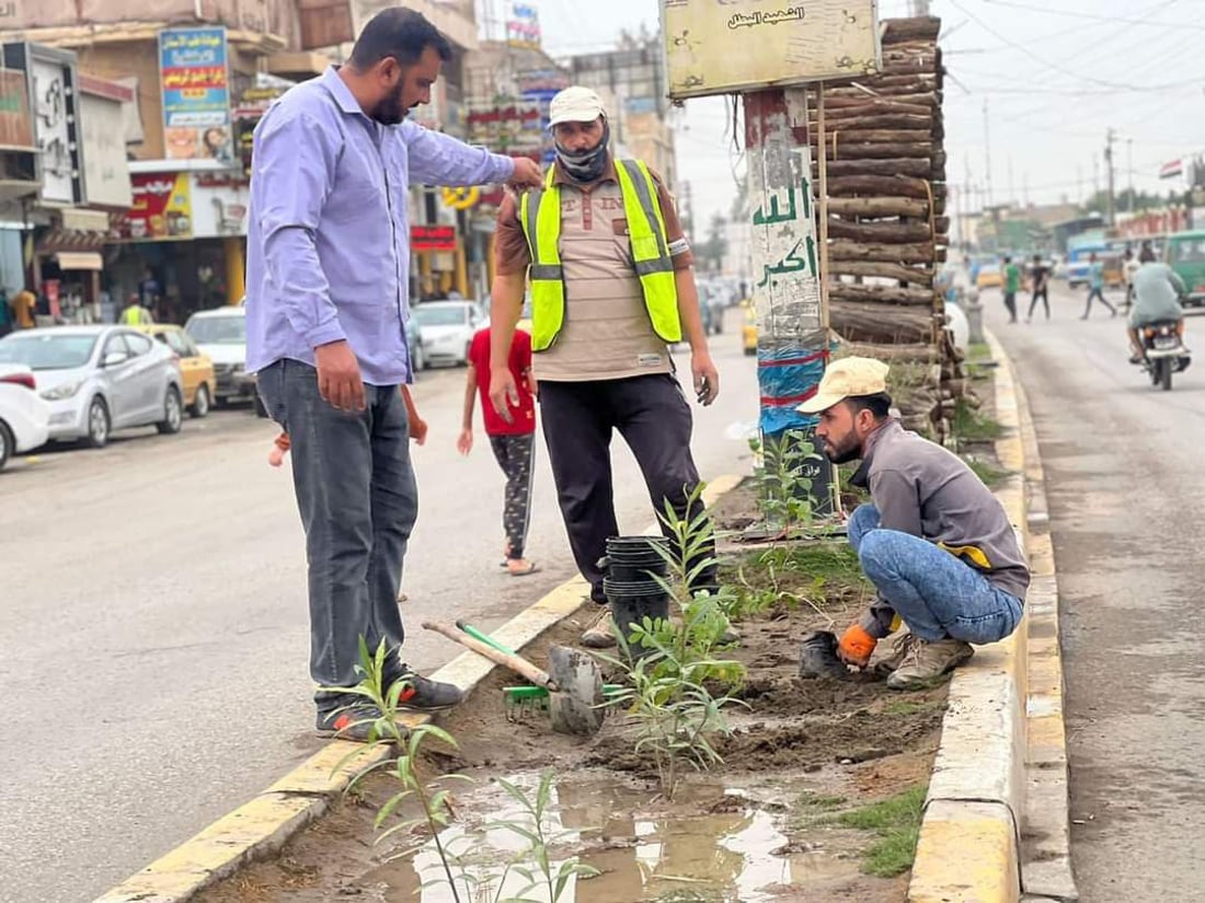 صور من الهندية: تبليط الحمداني اكتمل والأشجار على طول الجزرة حتى شارع طويريج