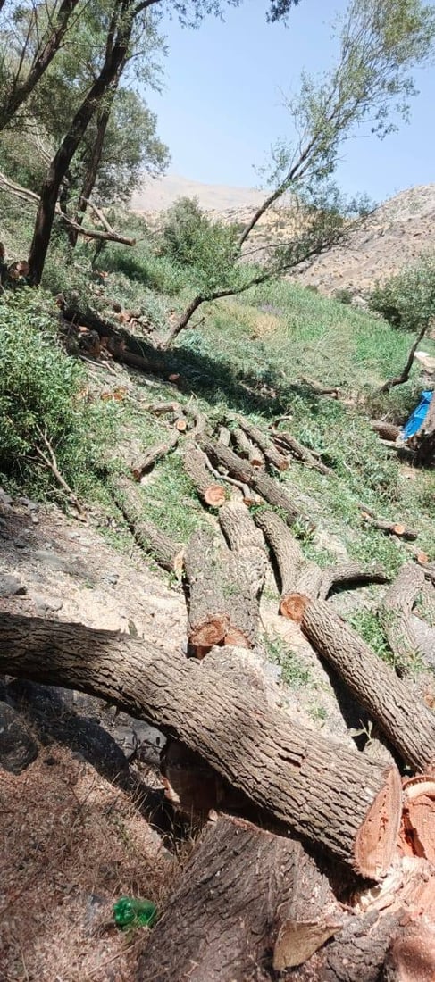 لە گوندێکی چۆمان 50 شۆڕەبی قەتڵوعام کران