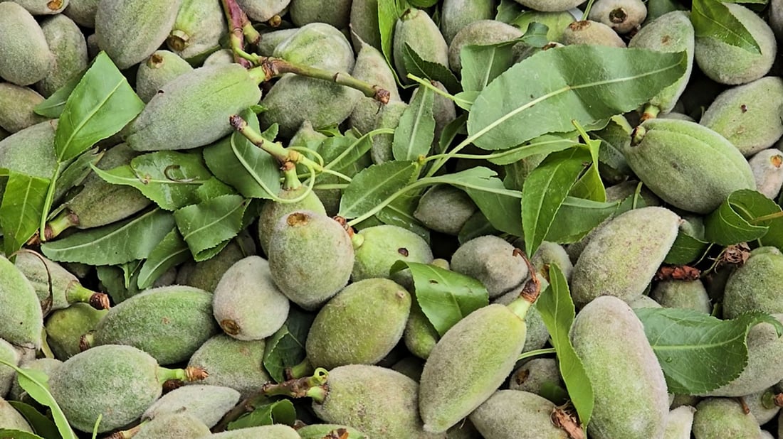 چوالەی کوردستان کەوتە بازاڕەوە و ئیدی بە گران مەیکڕە