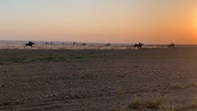 عناد كسب المليون.. أجمل الخيول صالت وجالت في صحراء نينوى