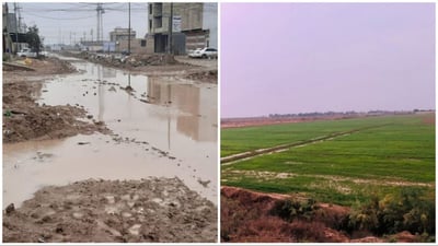 برك أغرقت الأحياء وأفراح في الحقول.. مشاهد من ميسان بعد يوم ممطر