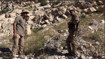 کاریلەیەکی کێوی گەڕێنرایەوە بۆ سروشت