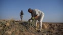 The desert plant that Hit pickles, and the man who sells it