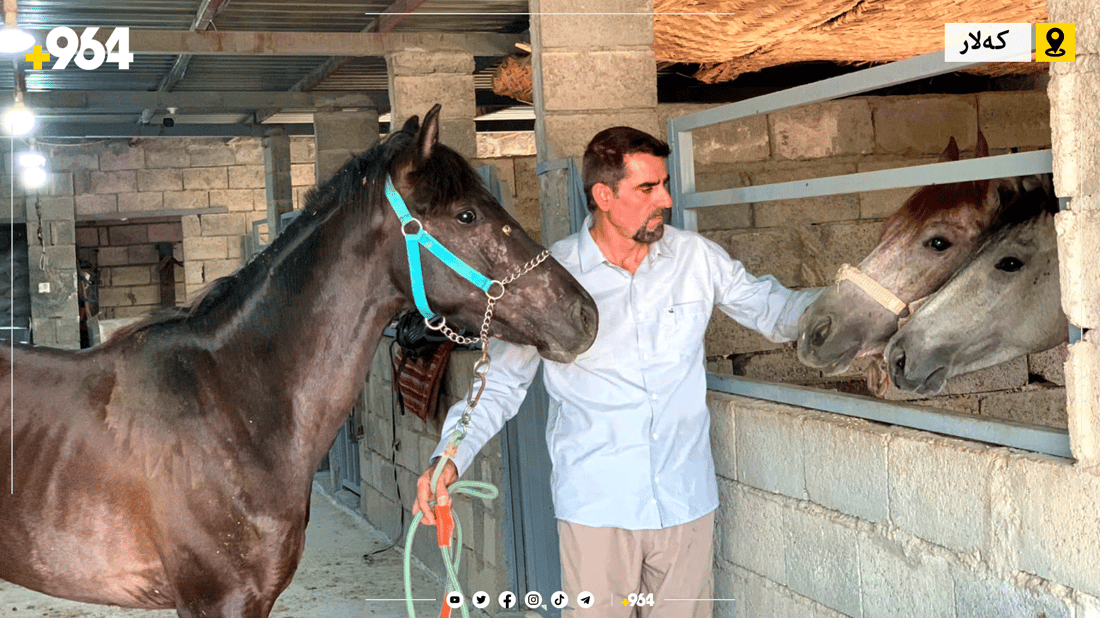 ئێستا دەتوانیت لە کەلار خۆت فێری ئەسپسواری بکەیت