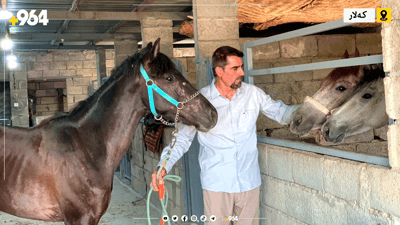 ئێستا دەتوانیت لە کەلار خۆت فێری ئەسپسواری بکەیت