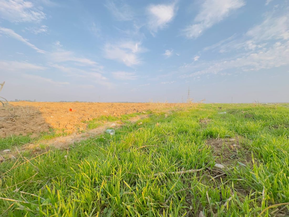 دەنگۆی فرۆشتنی چوار گوند لە خانەقین هەرای ناوەتەوە