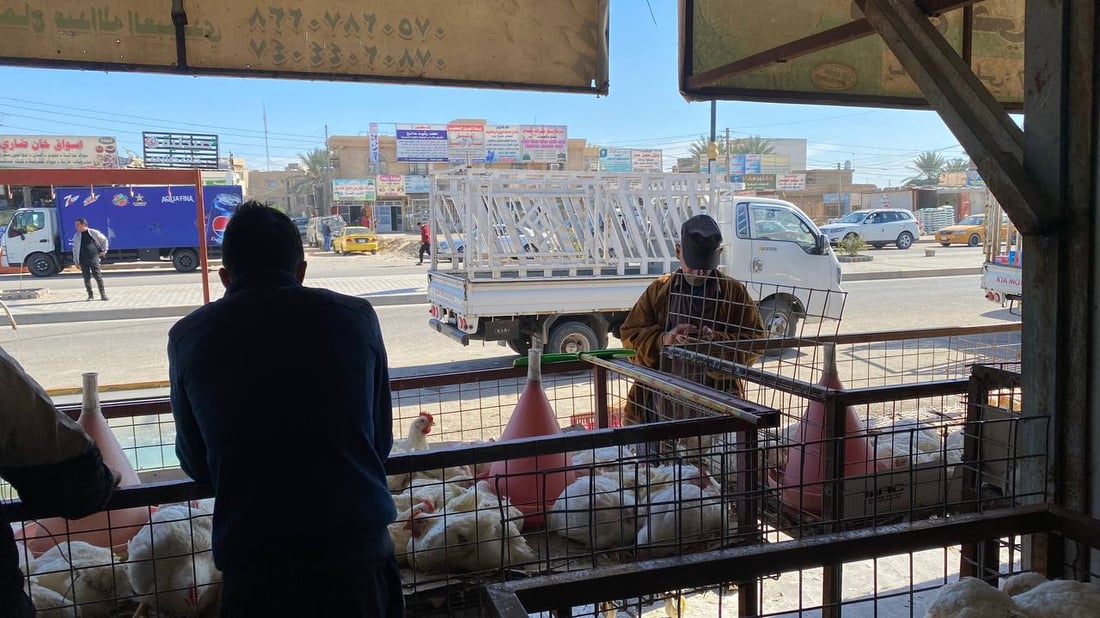 صور: قصابو أبو غريب أغلقوا محالهم بسبب ارتفاع الأسعار.. ودجاج أربيل أنسب البدائل